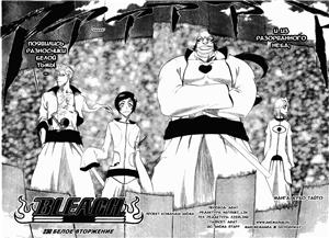 Смотреть онлайн Bleach 3 серия